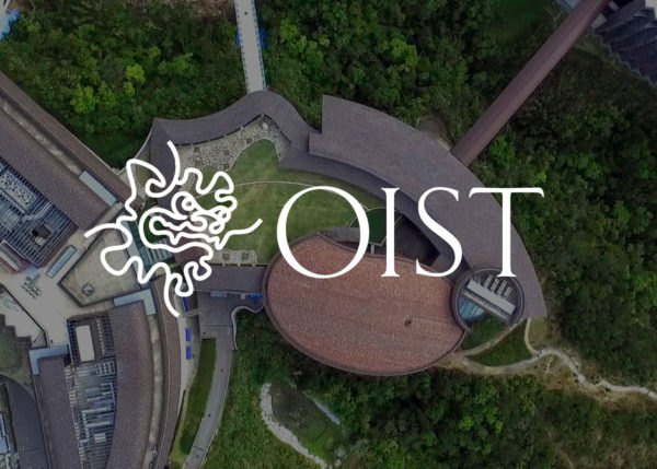 OIST PhD Trifold Pamphlets graphic design japan tokyo pamphlet education university okinawa